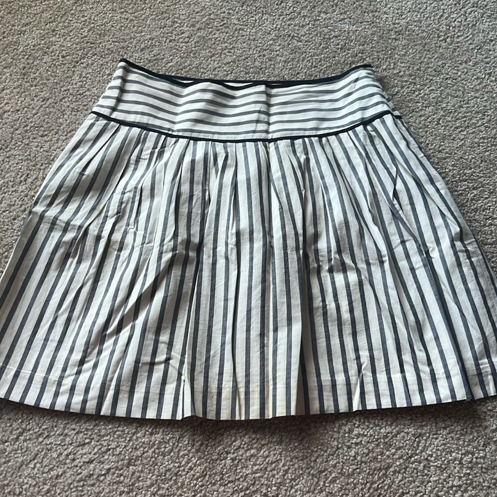 Ann Taylor Skirt